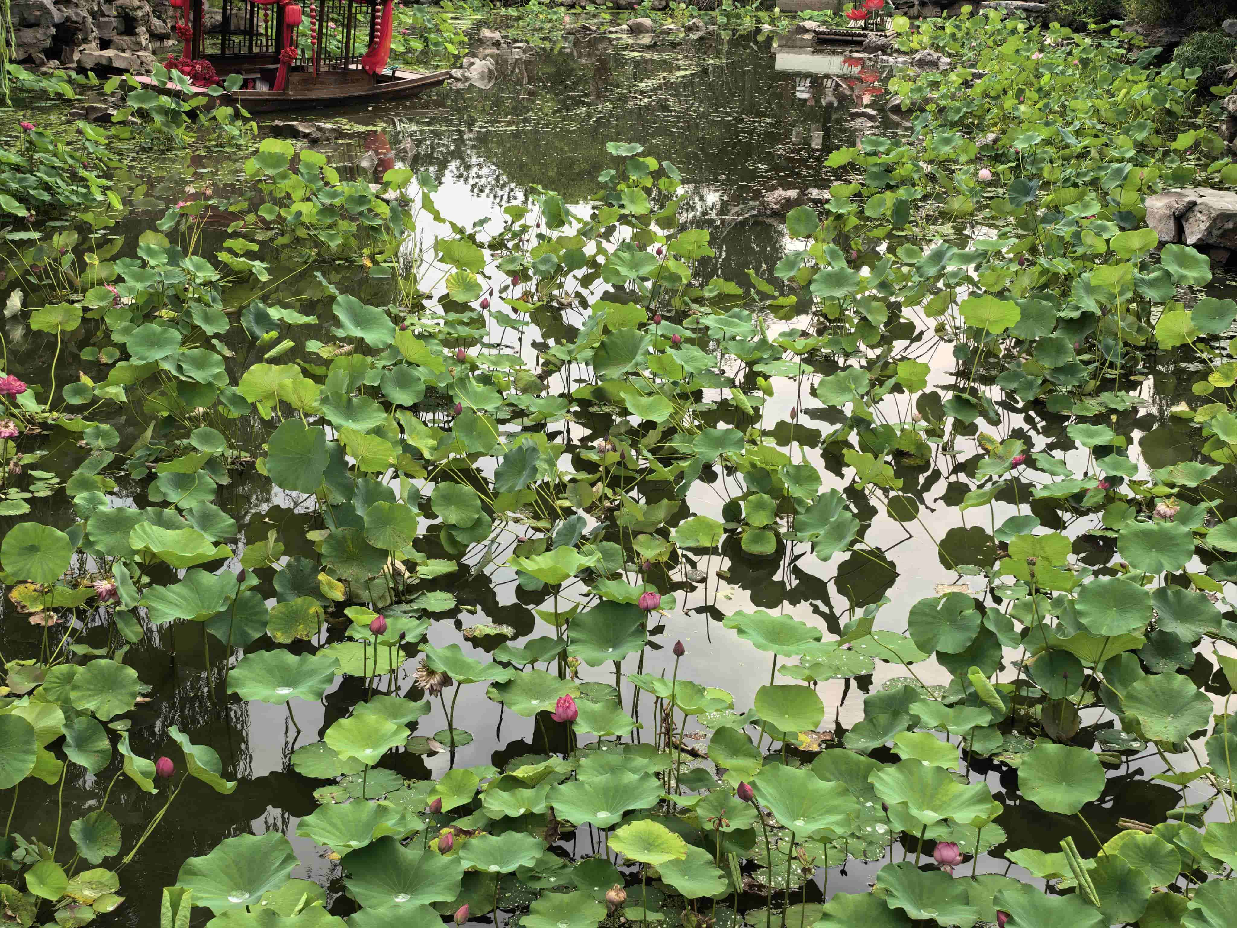 微信图片_20260615104353_136_25_compressed.jpg 微信图片_20260615104353_136_25_compressed.jpg