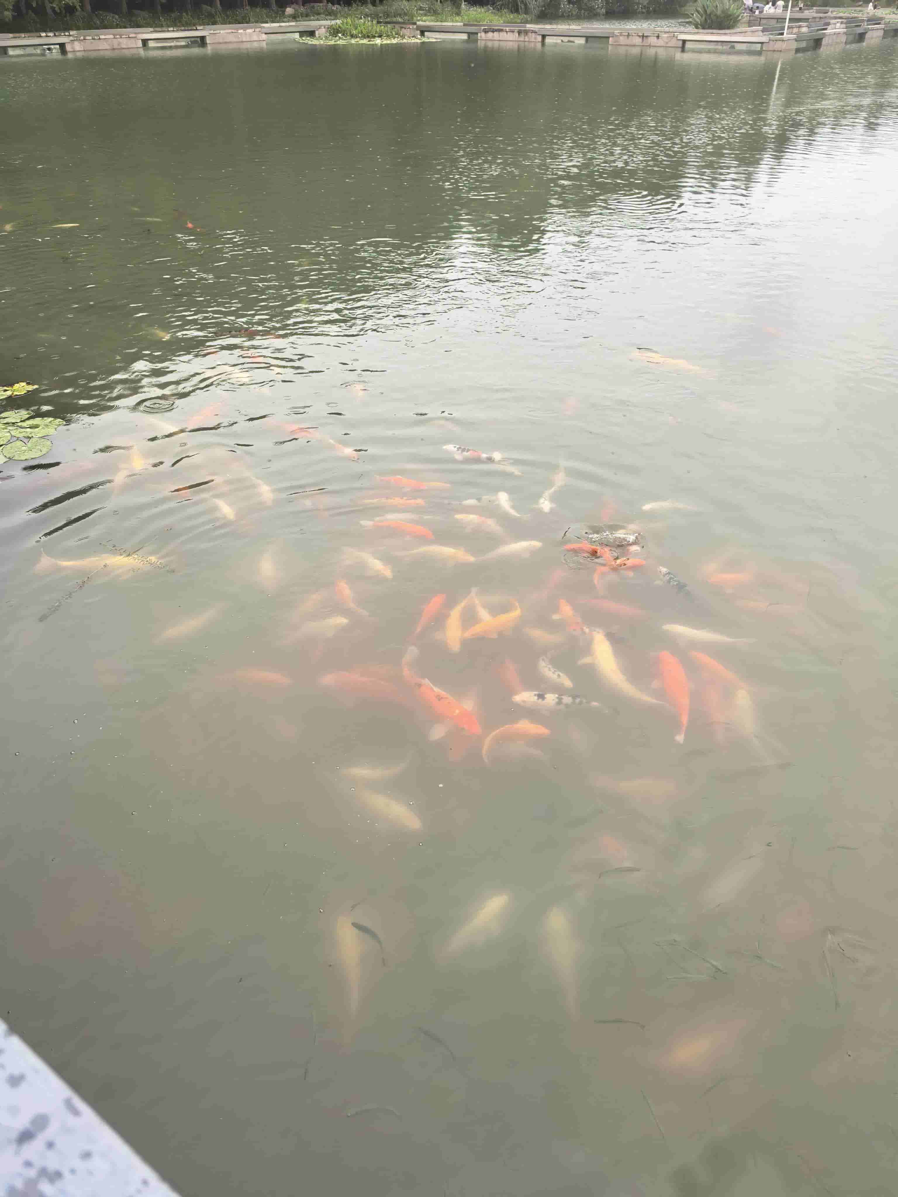 微信图片_20260622110744_152_25.jpg