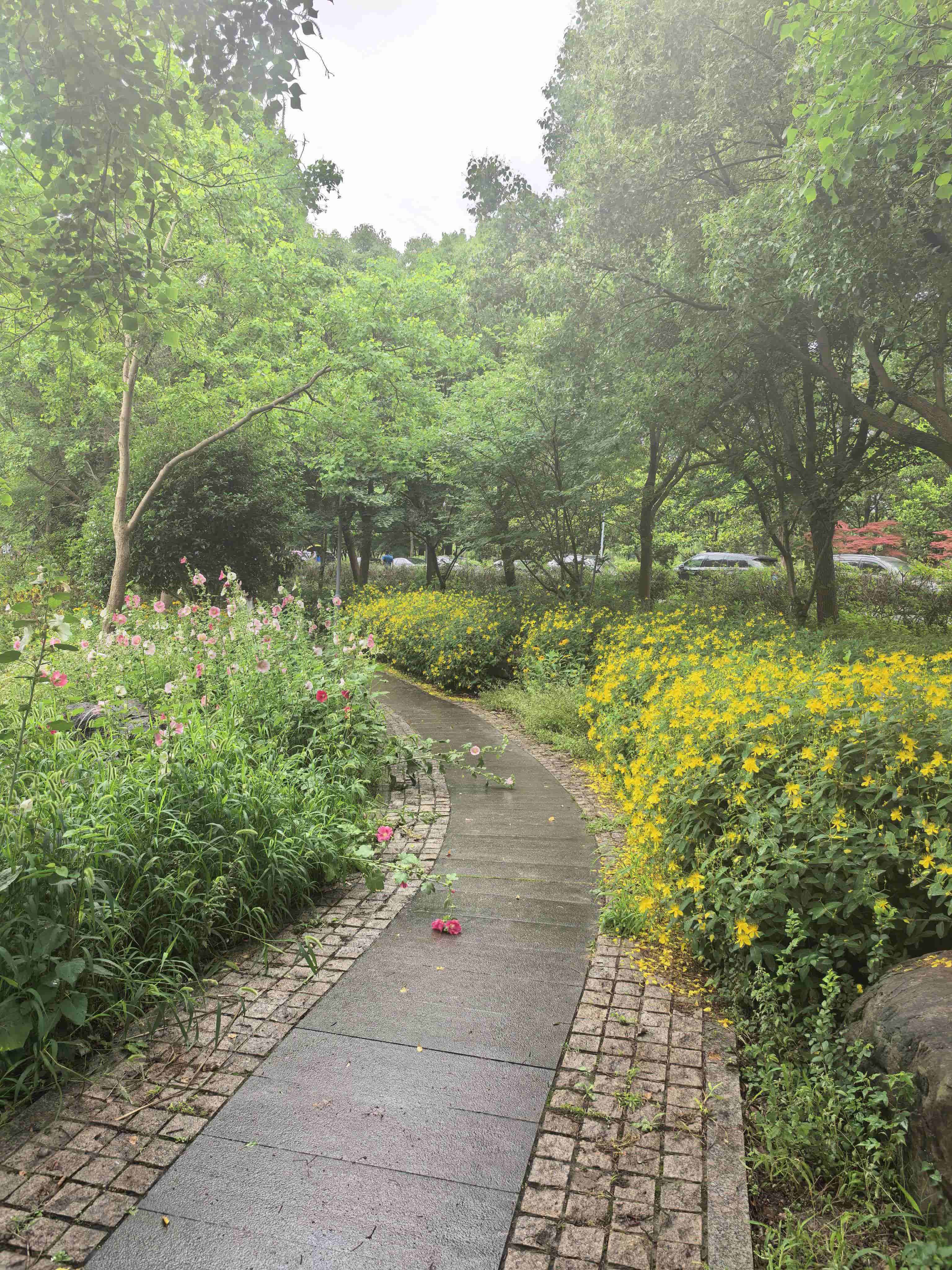 微信图片_20260622110745_153_25.jpg